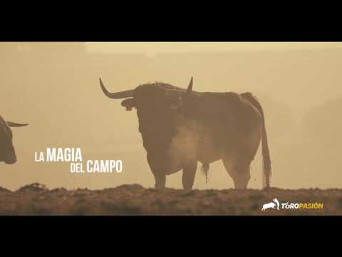 ¿Quieres disfrutar de un día de toros a tu medida? Ahora ya puedes en Finca Toropasión
