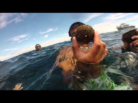 Alexhenry22’s Video 115516345338 1dkJR91yB6A