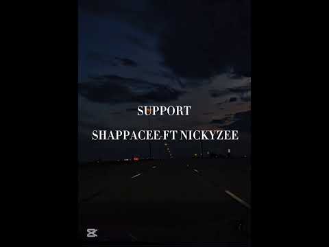 Support - ShaPPaCee ft NickyZee 