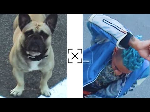 CHAZZ LUCK - SHY GUY (Dir. by Rupert Caminneci)