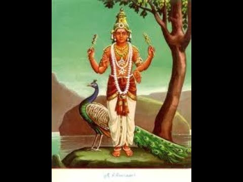 உனைப் பாடும் தொழிலின்றி வேறு | Unai Padum Thozhil Antri Veru | Lord Murugan Songs | Devotional Songs