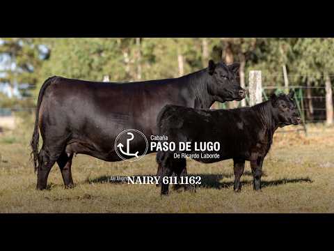 PASO DE LUGO 1029