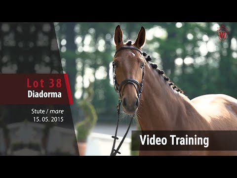 38 Diadorma v. Diathago - Lanthan_Trainingsvideo