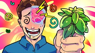 Your Brain On Salvia
