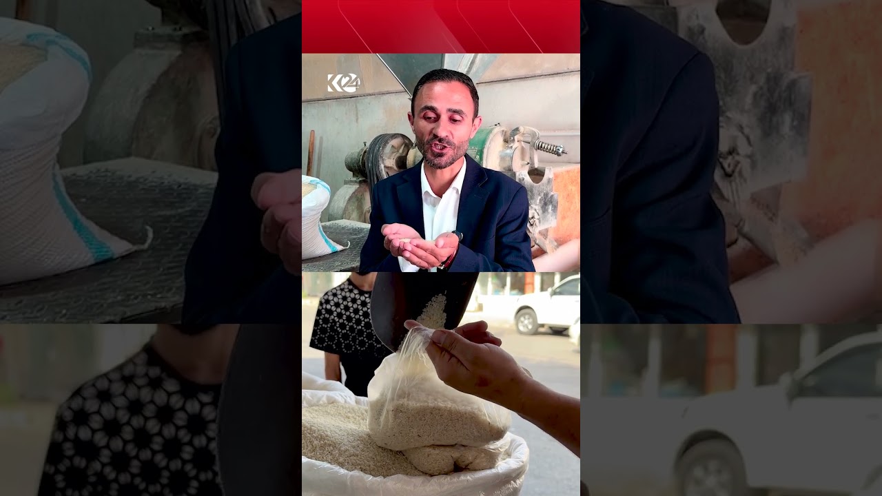 ڤیدیۆ | ئاری حوسێن؛ ئەم برنجە کوردییەی دەستم، گرانترین جۆری برنجە لە کوردستان و عێراق.. کیلۆی بە چەندە؟