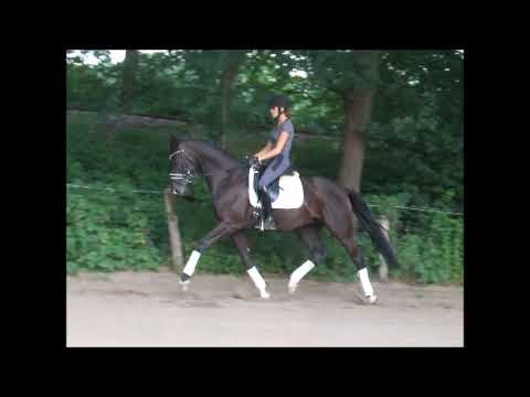 DIRTY DANCING 4j. v. Dancier - Wolkenstein I for sale