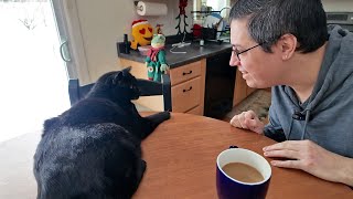 Countdown to Christmas 2025: Day 15