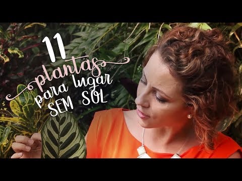 download lagu mp3 mp4 Local Sem, download lagu Local Sem gratis, unduh video klip Local Sem