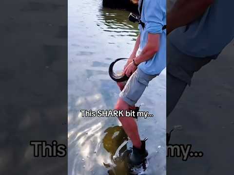Drôle de poisson