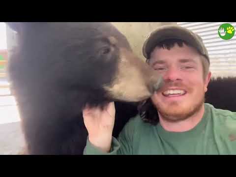 20 Times When Animals Reunited With Owners After Years Make You Cry in a Special Way 2025 #82
