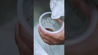 Download lagu Seruput kopi sambil menikmati pemandangan alam di Forest Kopi. Wajib coba! mp3