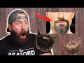 TOP Beard Styles Your Guide To The Latest Beard Trends
