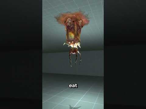 Half-life 2 FACTS №5 Manhack / Barnacle