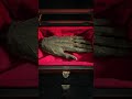 The Hand Of Glory Candle #creepy #facts #gross #history #scarystories #fypviralシ #shorts #didyouknow