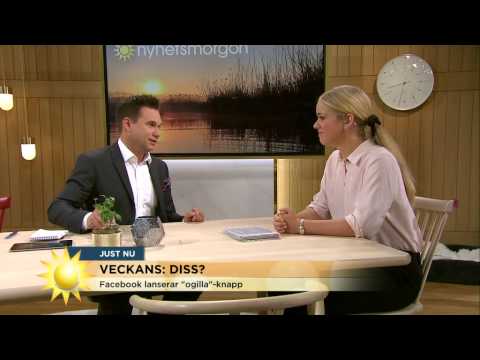 Veckans snackisar: SD-sprickan, Ogilla-knappen och Reinfeldt - Nyhetsmorgon (TV4)