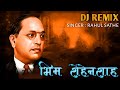 Bhim Shahenshah I New Latest Bhim Song 2021 RAHUL SATHE