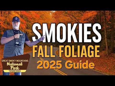 Smoky Mountains Fall Foliage 2025 🍁 | Local Tips & Peak Dates | Where To Go, Where to Avoid 
