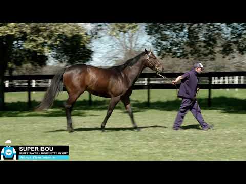 01 - SUPER BOU