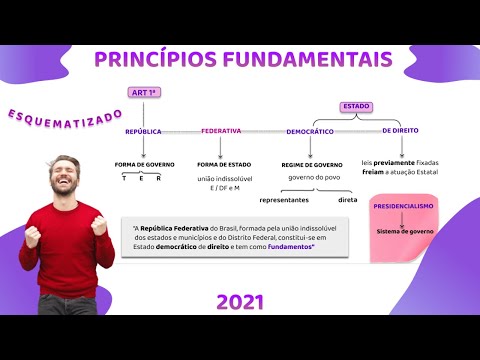 Princípios Fundamentais (revisão completa) - Direito   Constitucional