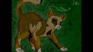 5 Minutes~A Star Clan Tribute