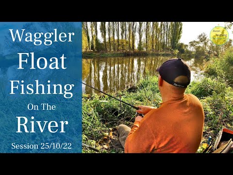 Float Fishing On The River Avon - Easy Fishing With The Waggler - 25/10/22 (Video 355)