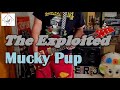 The Exploited - Mucky Pup - Guitar Cover (guitar tab in description!)