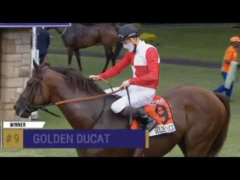 GOLDEN DUCAT - World Sports Betting Champions Cup Gr1