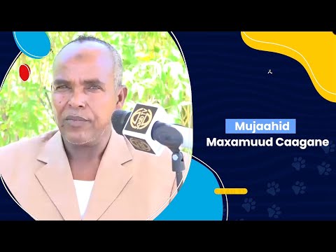 Mujaahid maxamuud Caagane oo ka waramaya Dagaalkii Ciidankii Muj Maxamed Cali ee Jiida Dhexe 28 May