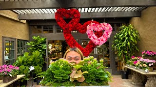 For the Love of Plants: Cool Plant Finds at Boutique Garden Center