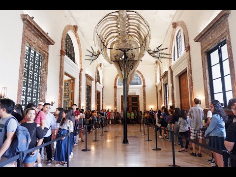 National Museum Tribute to President Benigno S. Aquino III