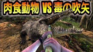 【Green Hell】肉食動物に毒の吹矢は効果あるのか検証してみた...『グリーンヘル+DLC第三章』Steam サバイバル オープンワールド ゲーム実況#57