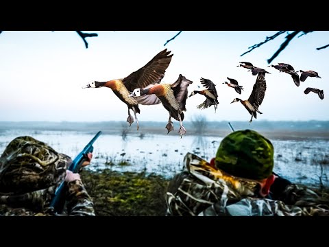 DUCK HUNTING IN JULY! EPIC ARGENTINA DUCK HUNT!