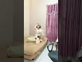 Bigo Live Ngew3 Bantal