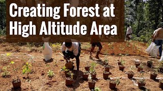 Creating Forest at High Alititude Area at Munnar