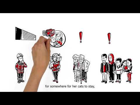 German Red Cross Disaster Services of the Future: Networking - with subtitles