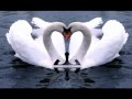 The Swan Song Instrumental- Within Temptation ...