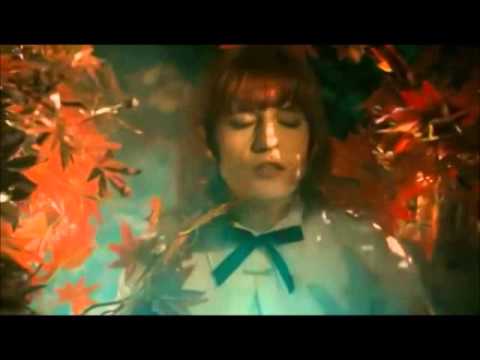 Lady GaGa Vs. Florence + The Machine - Cosmic Love Mashup - Bad Love