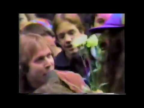 Louie Louie   Shark with parade coverage