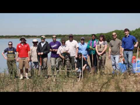 Engineering with Nature