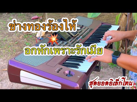 ช่างทองร้องไห้|อกหักเพราะรักเมีย[ลูกทุ่งเพลงดัง]#เบสแน่นๆ #อิเล็กโทน