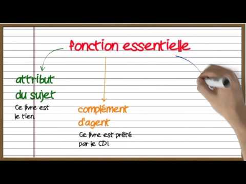 Les fonctions grammaticales