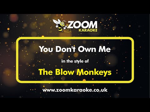 The Blow Monkeys - You Don't Own Me - Karaoke Version from Zoom Karaoke