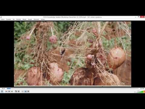 2016 12 23 PM Public Teaching in Turkish - Türkçe Kamu Öğretileri