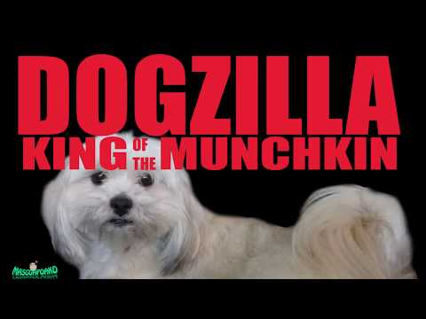 DOGZILLA vs GODZILLA  (King Of The Munchkin )
