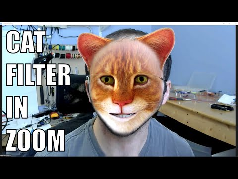 How to Get a Cat Filter in Zoom
