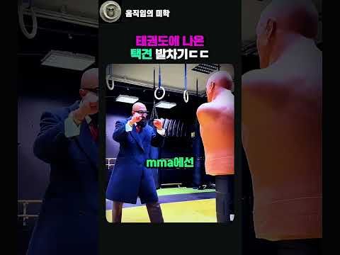 태권도에 나온 야르한 택견발차기 #택견 #태권도