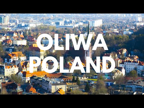 Exploring the Oliwa Neighbourhood in Gdansk, Poland