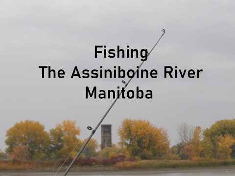 Fishing The Assiniboine River Manitoba
