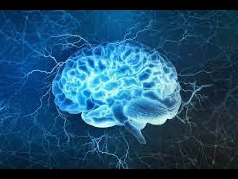 Unser Gehirn - Welche Macht wir wirklich haben Doku Dokumentation