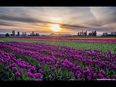 2022-10-16 - Culto Domenica - Fr. Pispicia - Romani 11:33-36